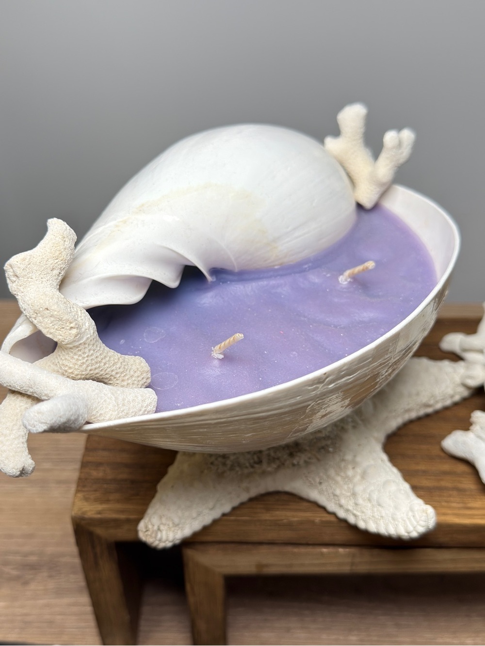 Seashell Bowl Double-Wick Hand Poured Candle on Real Starfish Sea Star Pedestal
